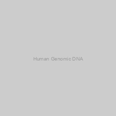 Image of Human Genomic DNA